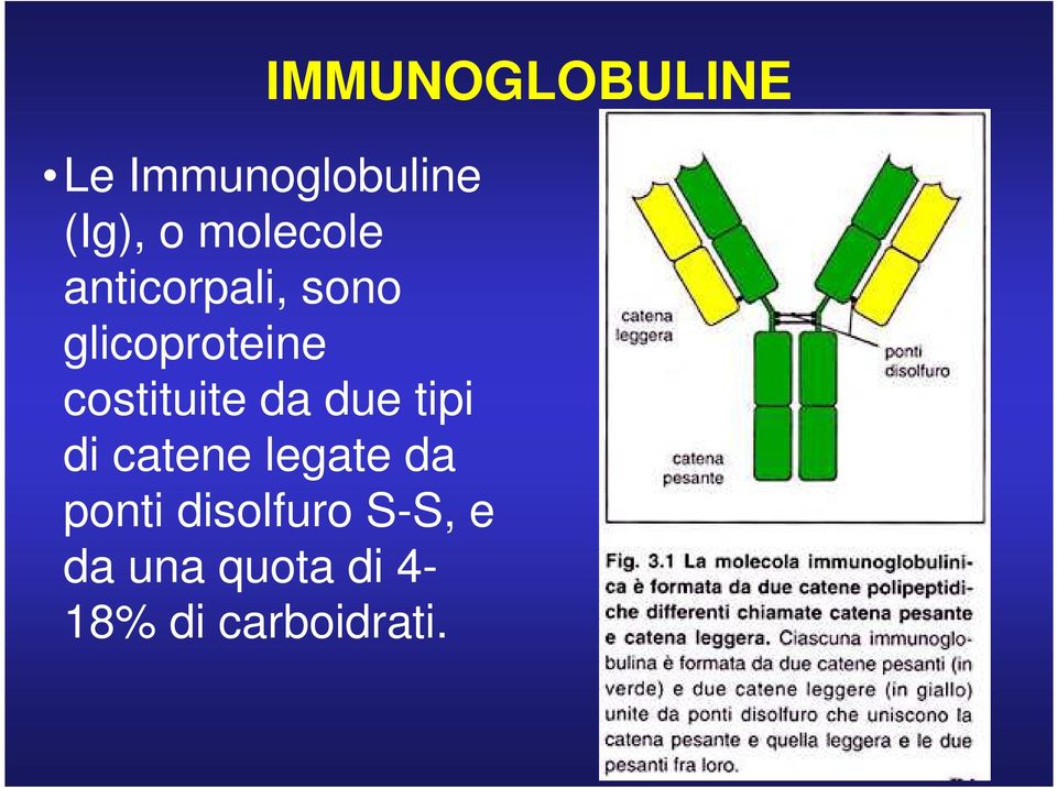 costituite da due tipi di catene legate da