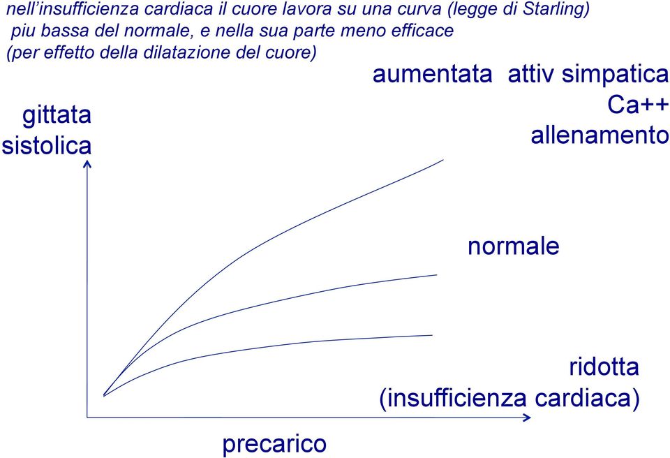 effetto della dilatazione del cuore) gittata sistolica aumentata attiv