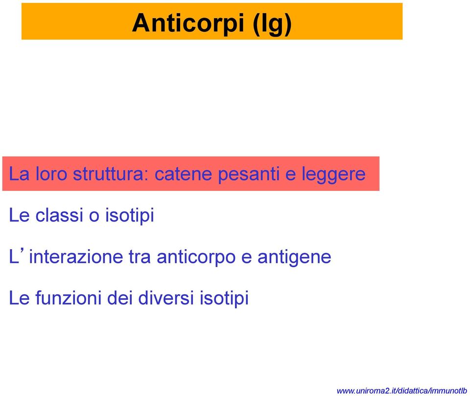 isotipi L interazione tra anticorpo e