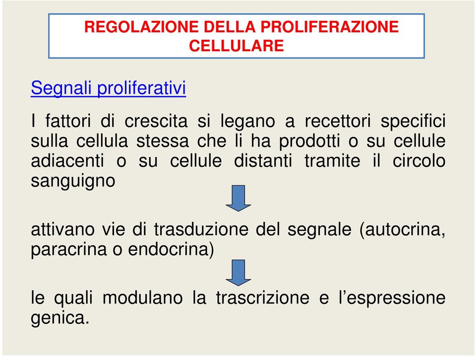 o su cellule distanti tramite il circolo sanguigno attivano vie di trasduzione del segnale