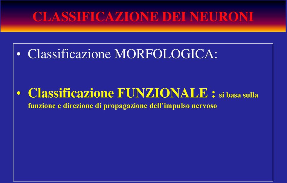 Classificazione FUNZIONALE : si basa