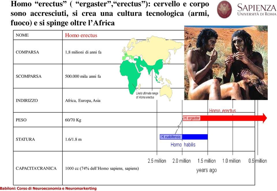 COMPARSA 1,8 milioni di anni fa SCOMPARSA 500.