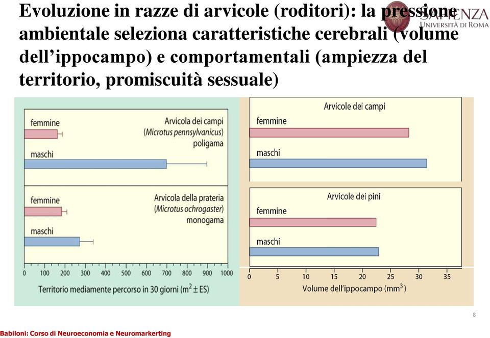 cerebrali (volume dell ippocampo) e