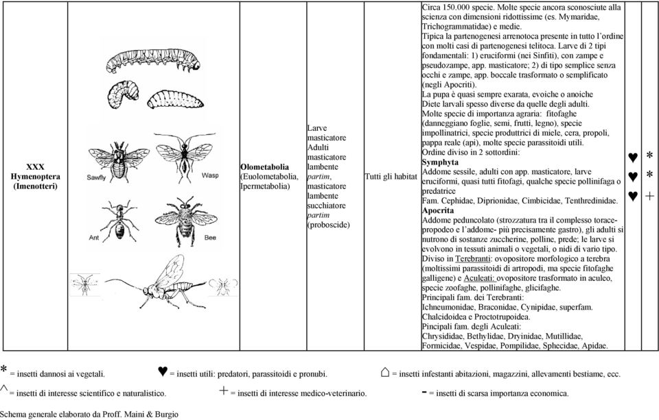 Tipica la partenogenesi arrenotoca presente in tutto l ordine con molti casi di partenogenesi telitoca. Larve di 2 tipi fondamentali: 1) eruciformi (nei Sinfiti), con zampe e pseudozampe, app.