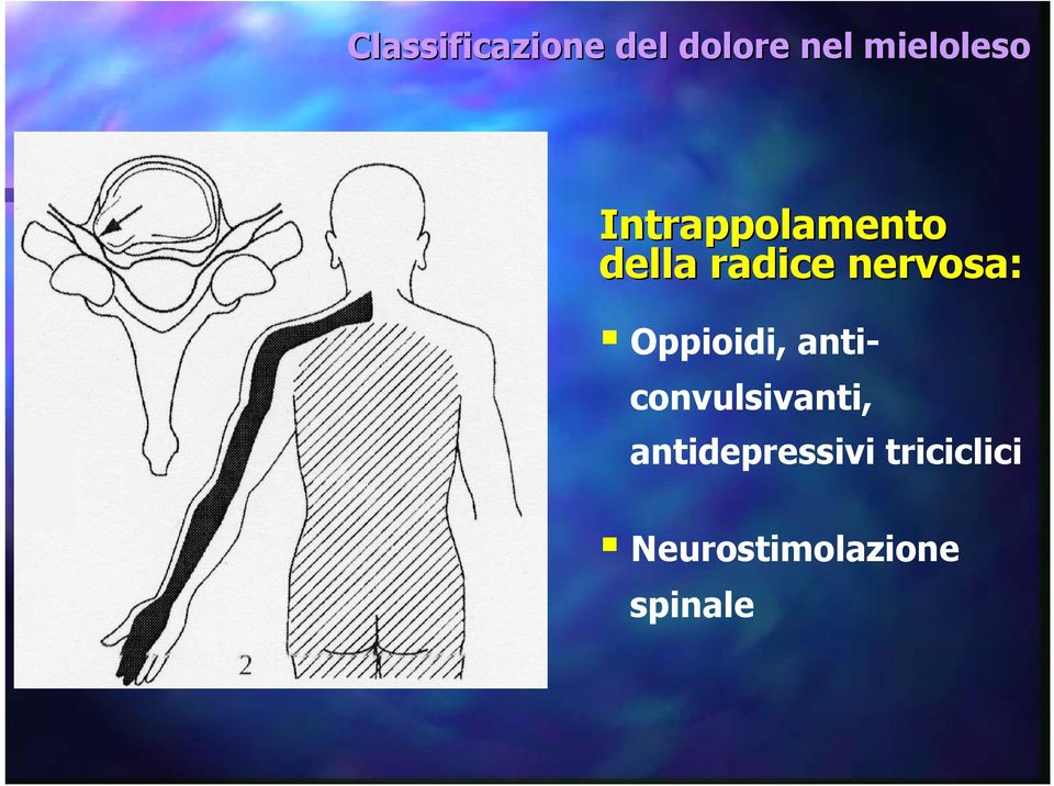 nervosa: Oppioidi, anticonvulsivanti,