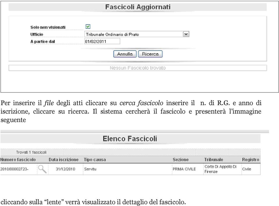 Il sistema cercherà il fascicolo e presenterà l immagine