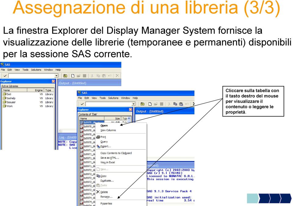 permanenti) disponibili per la sessione SAS corrente.