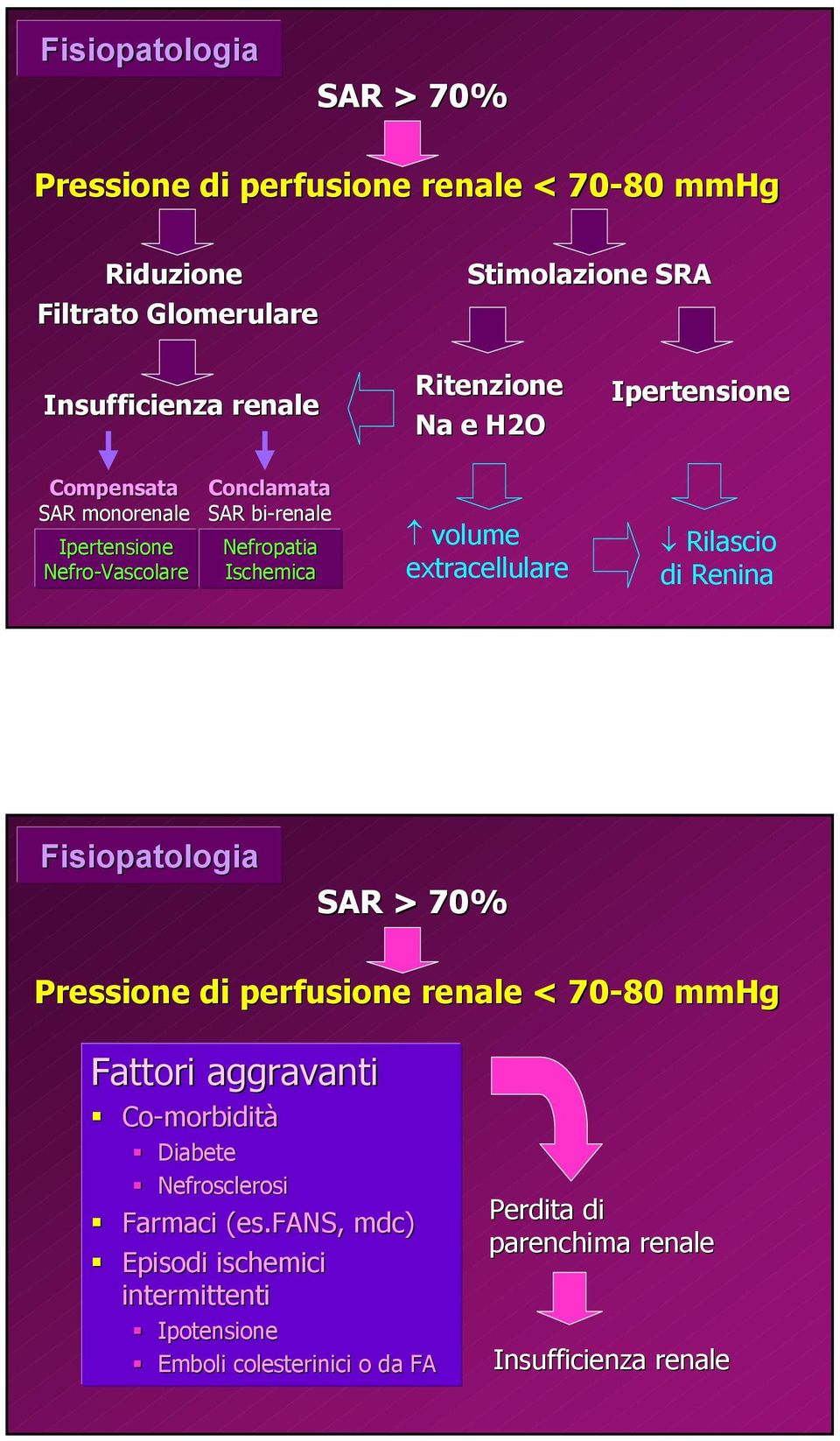 extracellulare Rilascio di Renina Fisiopatologia SAR > 70% Pressione di perfusione renale < 70-80 mmhg Fattori aggravanti Co-morbidità Diabete