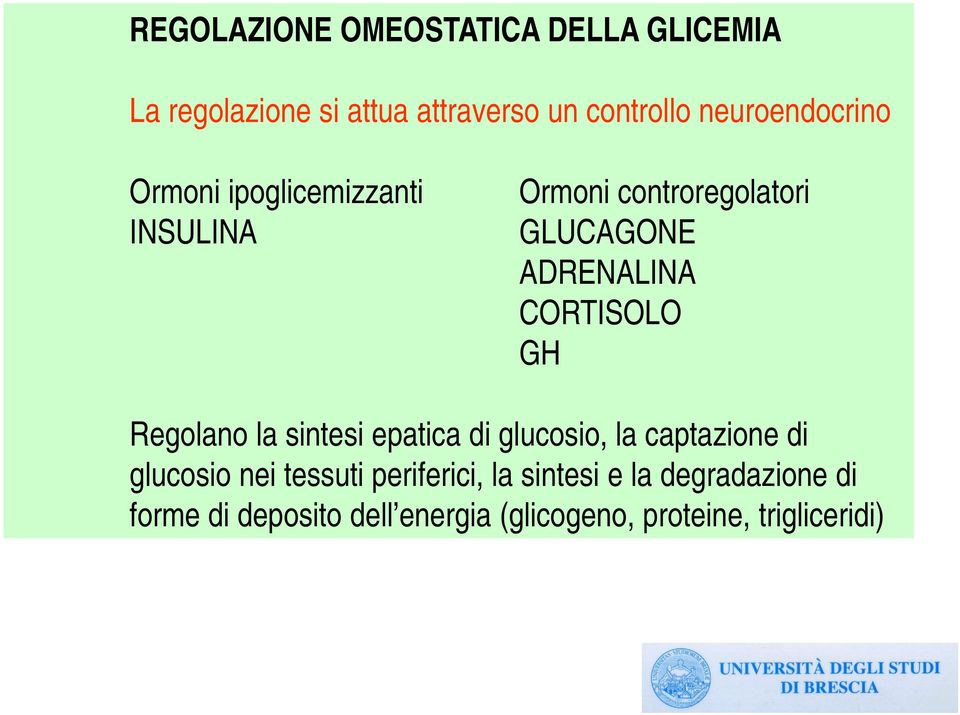CORTISOLO GH Regolano la sintesi epatica di glucosio, la captazione di glucosio nei tessuti