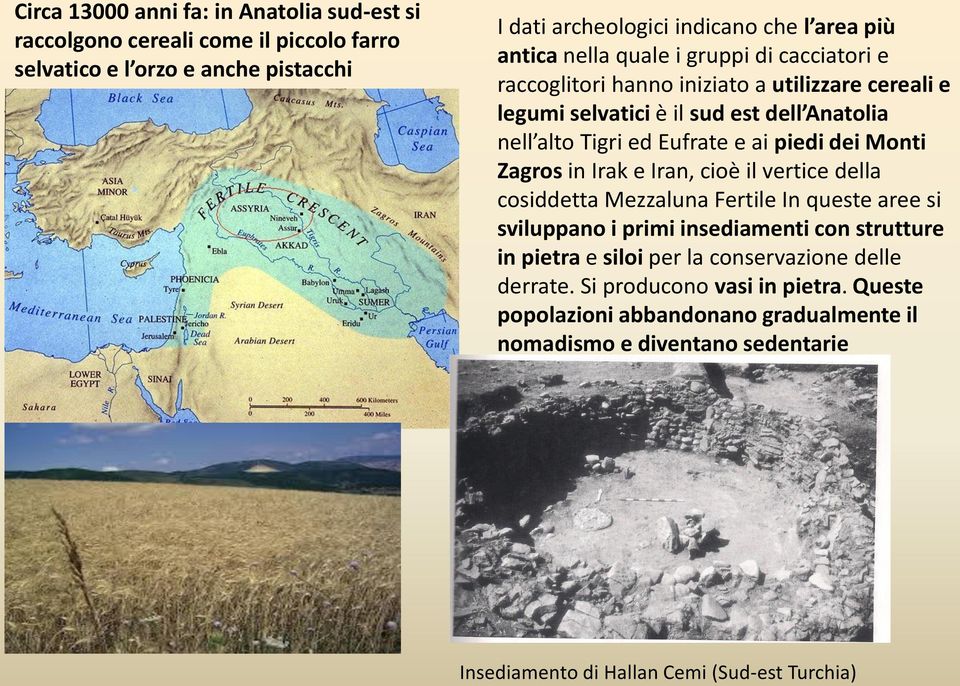 Monti Zagros in Irak e Iran, cioè il vertice della cosiddetta Mezzaluna Fertile In queste aree si sviluppano i primi insediamenti con strutture in pietra e siloi per la