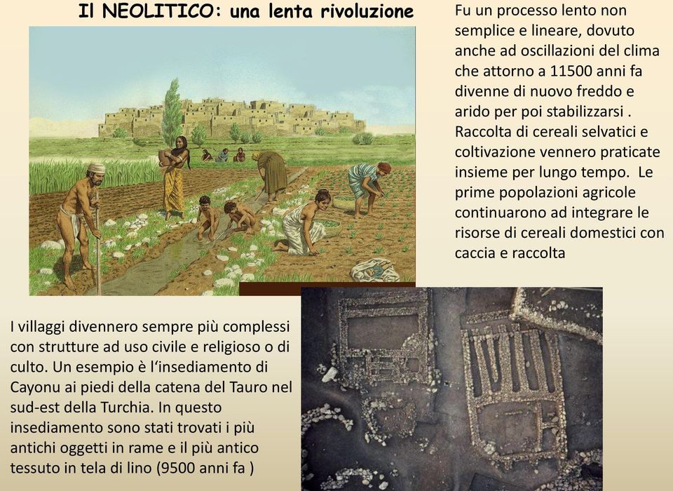 Le prime popolazioni agricole continuarono ad integrare le risorse di cereali domestici con caccia e raccolta I villaggi divennero sempre più complessi con strutture ad uso civile