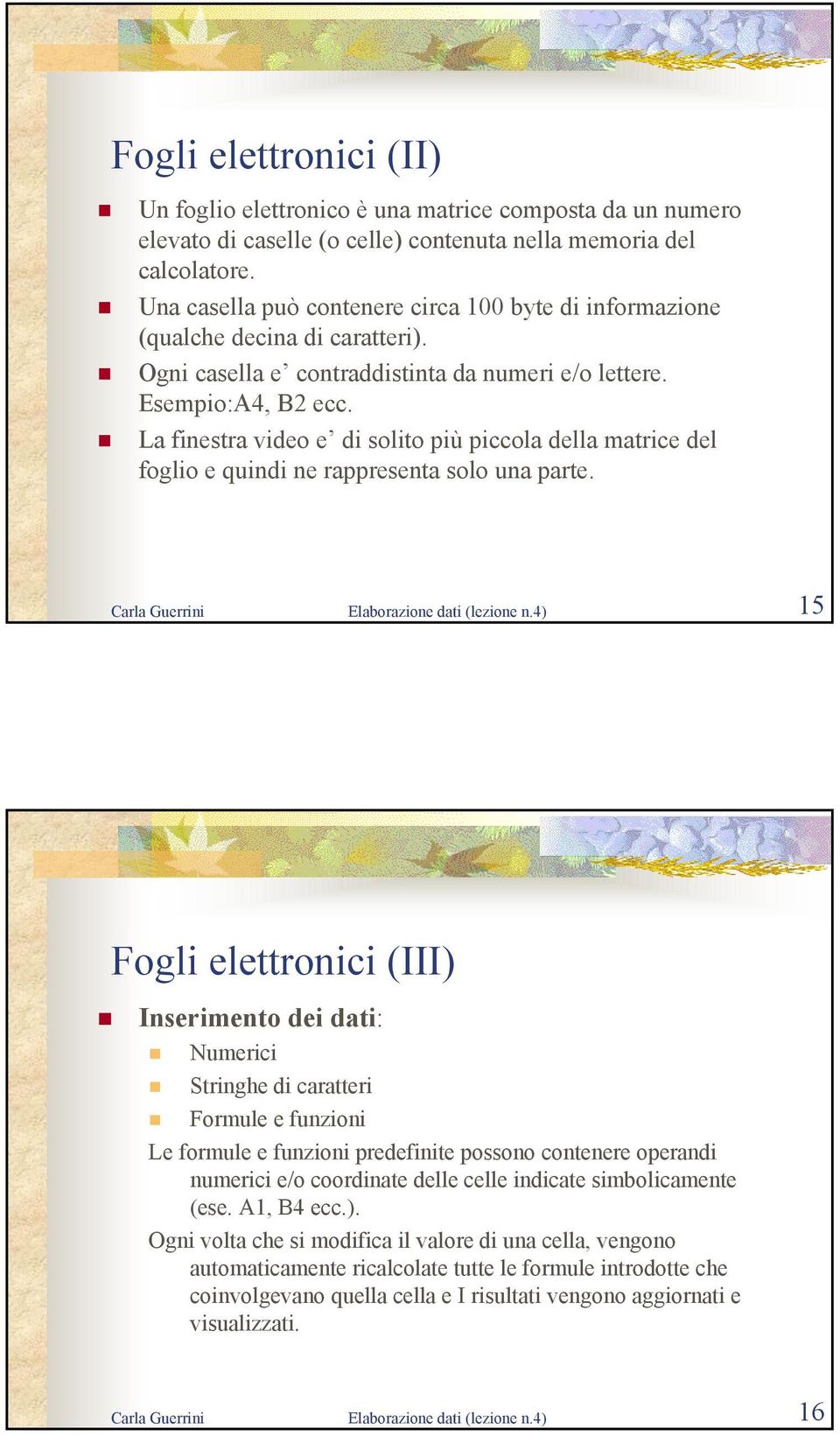 La finestra video e di solito più piccola della matrice del foglio e quindi ne rappresenta solo una parte. Carla Guerrini Elaborazione dati (lezione n.