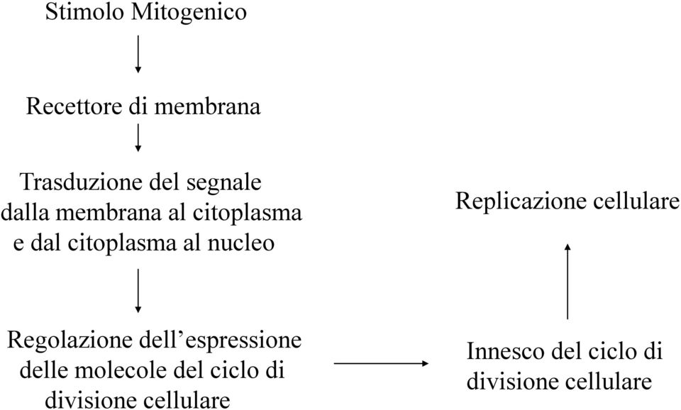 Replicazione cellulare Regolazione dell espressione delle