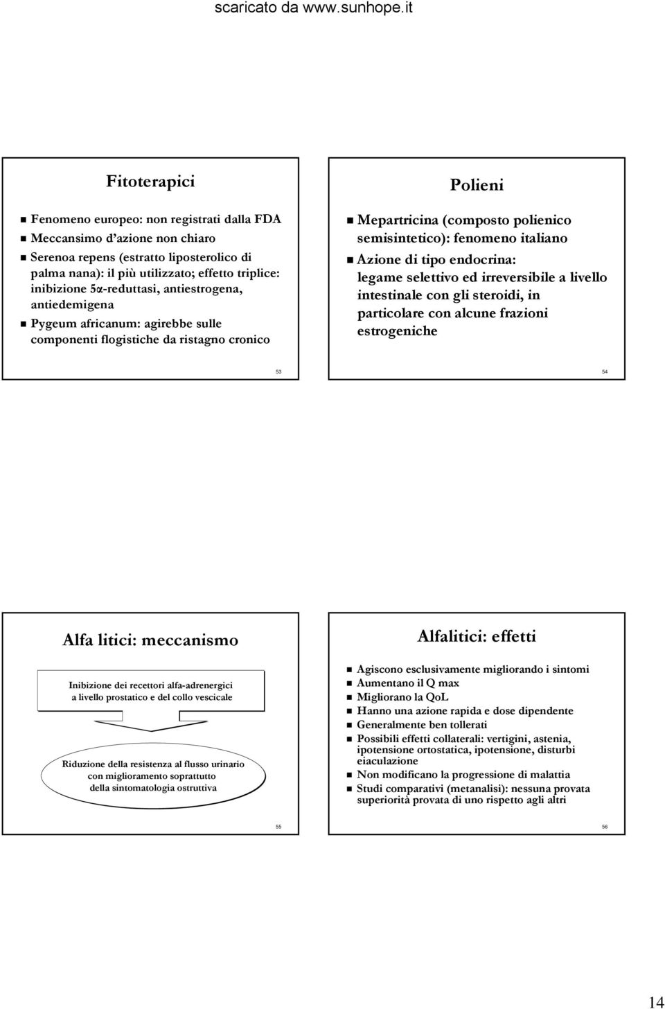 Azione di tipo endocrina: legame selettivo ed irreversibile a livello intestinale con gli steroidi, in particolare con alcune frazioni estrogeniche 53 54 Alfa litici: meccanismo Inibizione dei