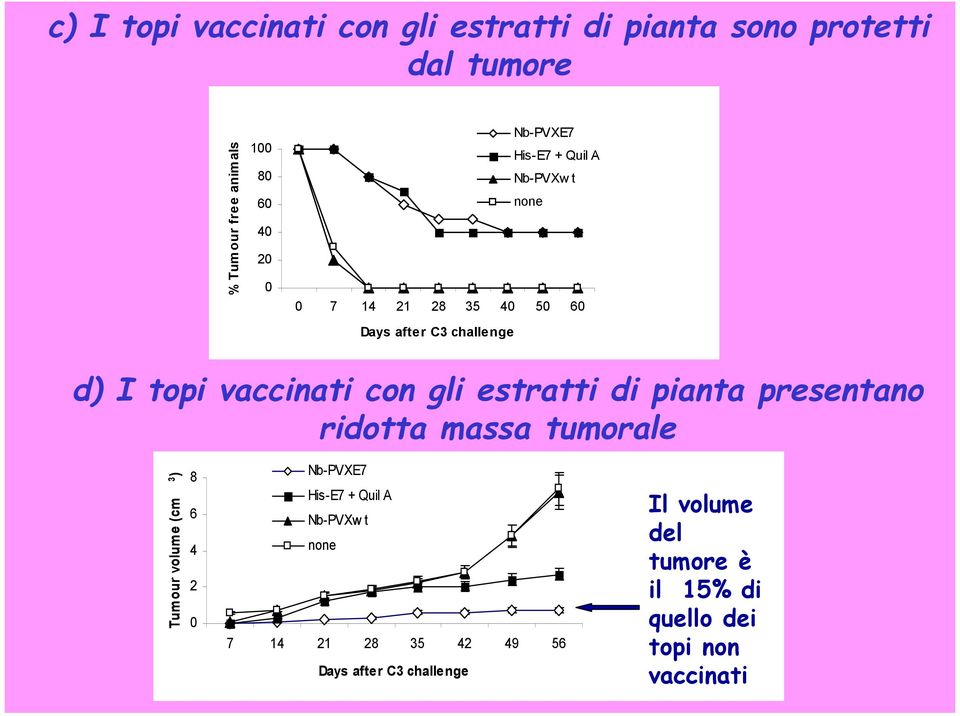 gli estratti di pianta presentano ridotta massa tumorale Tumour volume (cm 3 ) 8 6 4 2 0 Nb-PVXE7 His-E7 + Quil A