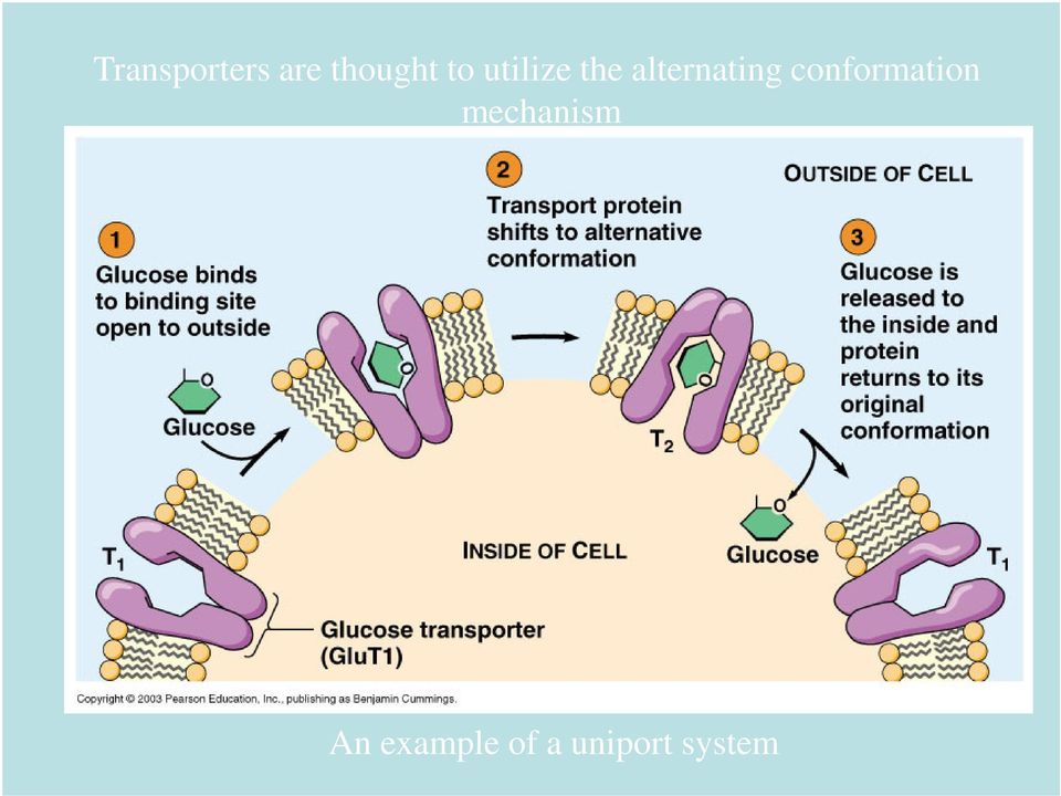 conformation mechanism An