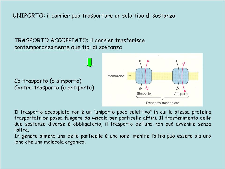 proteina trasportatrice possa fungere da veicolo per particelle affini.