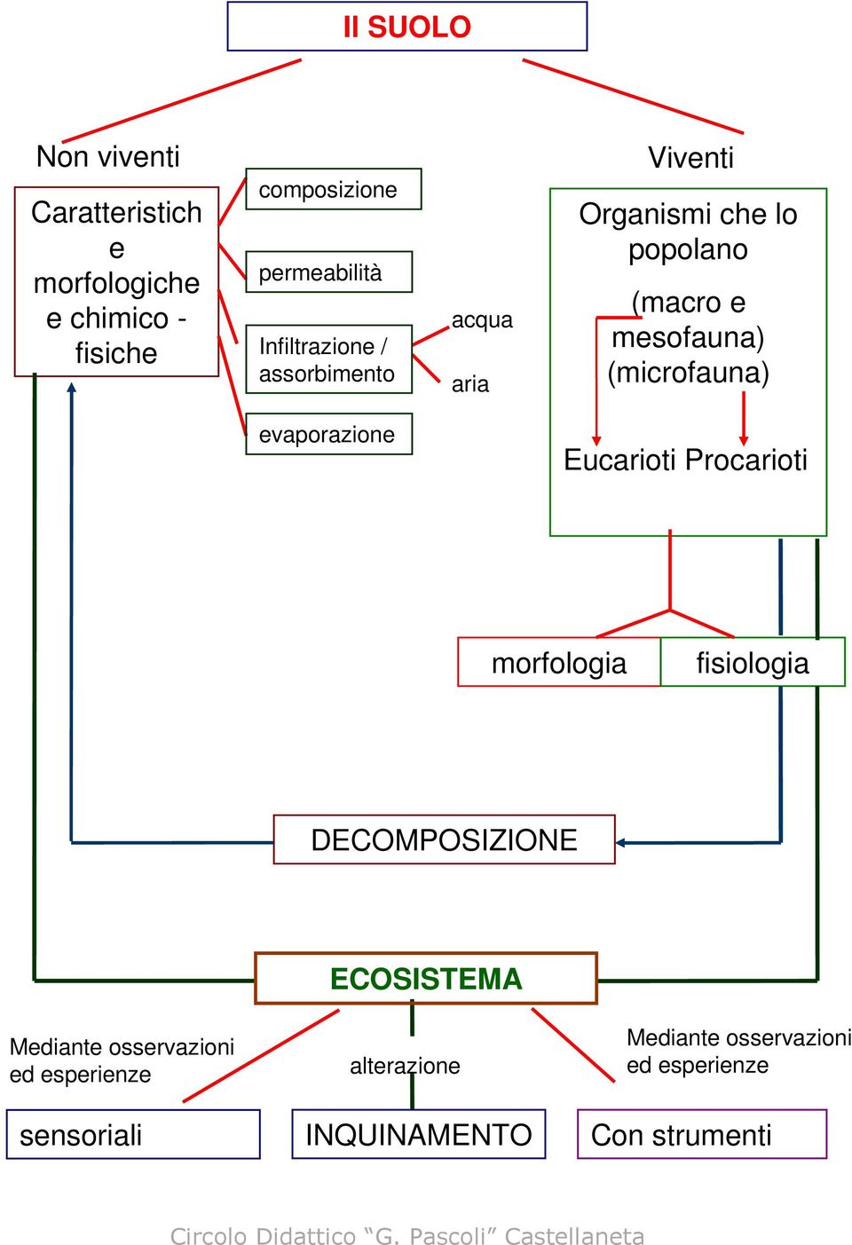 (microfauna) evaporazione Eucarioti Procarioti morfologia fisiologia DECOMPOSIZIONE Mediante