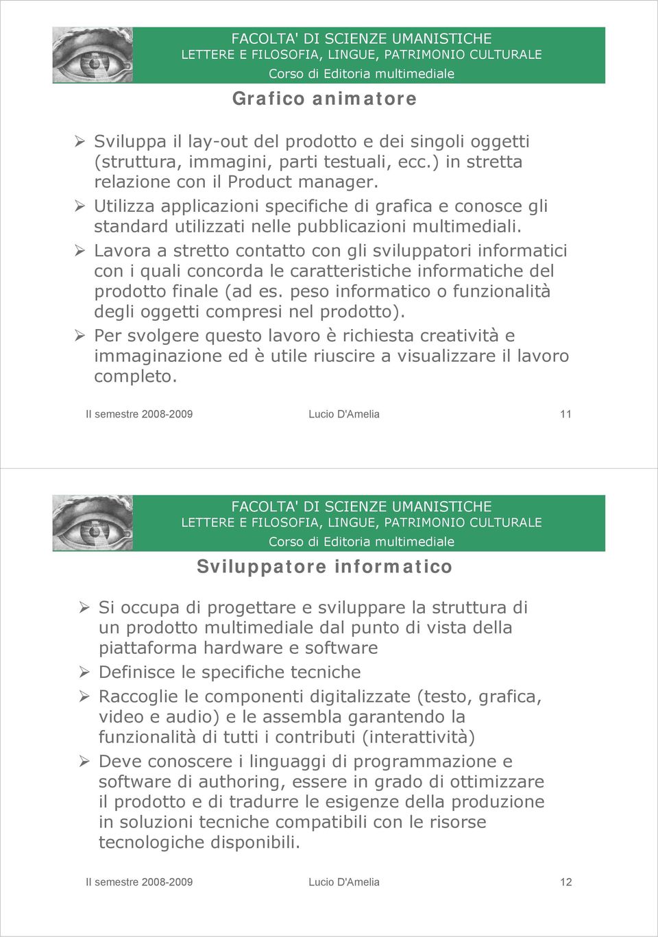 Lavora a stretto contatto con gli sviluppatori informatici con i quali concorda le caratteristiche informatiche del prodotto finale (ad es.