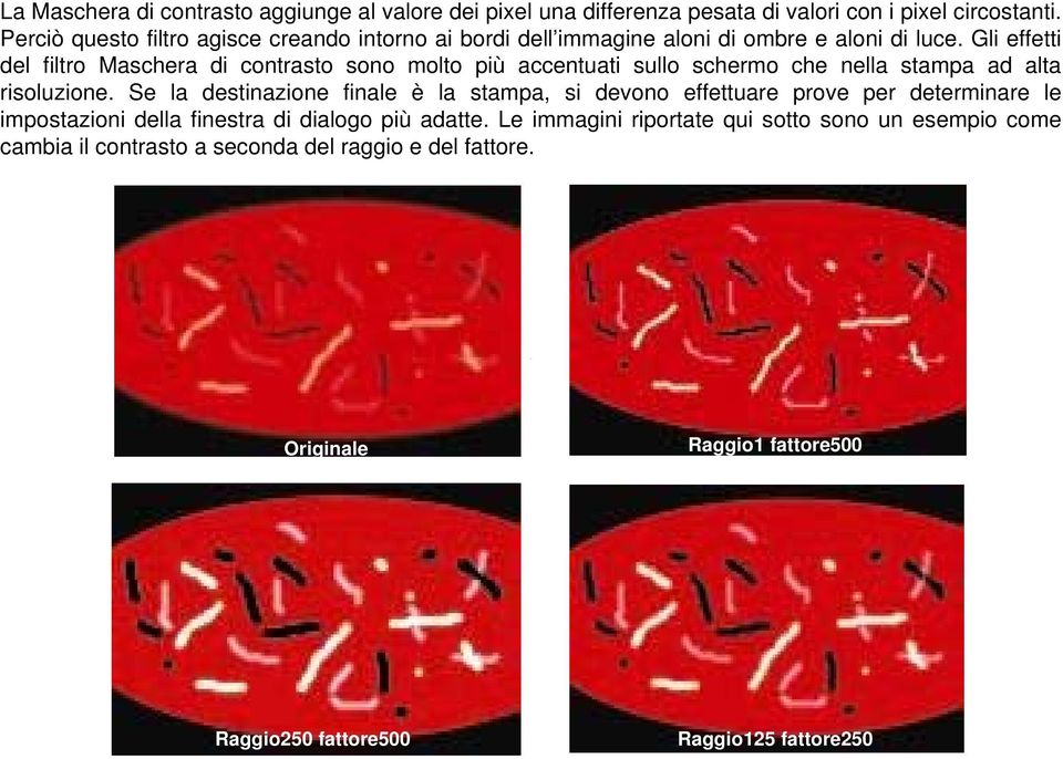 Gli effetti del filtro Maschera di contrasto sono molto più accentuati sullo schermo che nella stampa ad alta risoluzione.