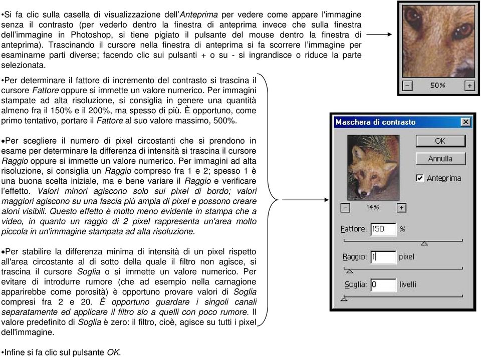 Trascinando il cursore nella finestra di anteprima si fa scorrere l immagine per esaminarne parti diverse; facendo clic sui pulsanti + o su - si ingrandisce o riduce la parte selezionata.