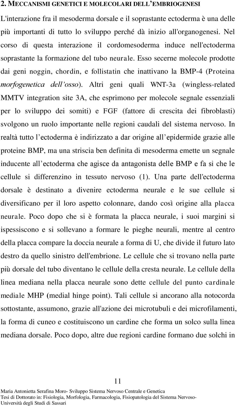 Esso secerne molecole prodotte dai geni noggin, chordin, e follistatin che inattivano la BMP-4 (Proteina morfogenetica dell osso).