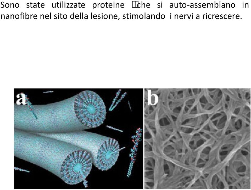 nanofibre nel sito della