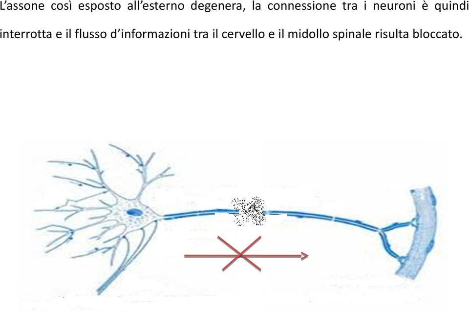 interrotta e il flusso d informazioni tra