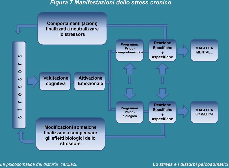 MENTALE Valutazione cognitiva Attivazione Emozionale Programma Psicobiologico Reazione Specifiche e