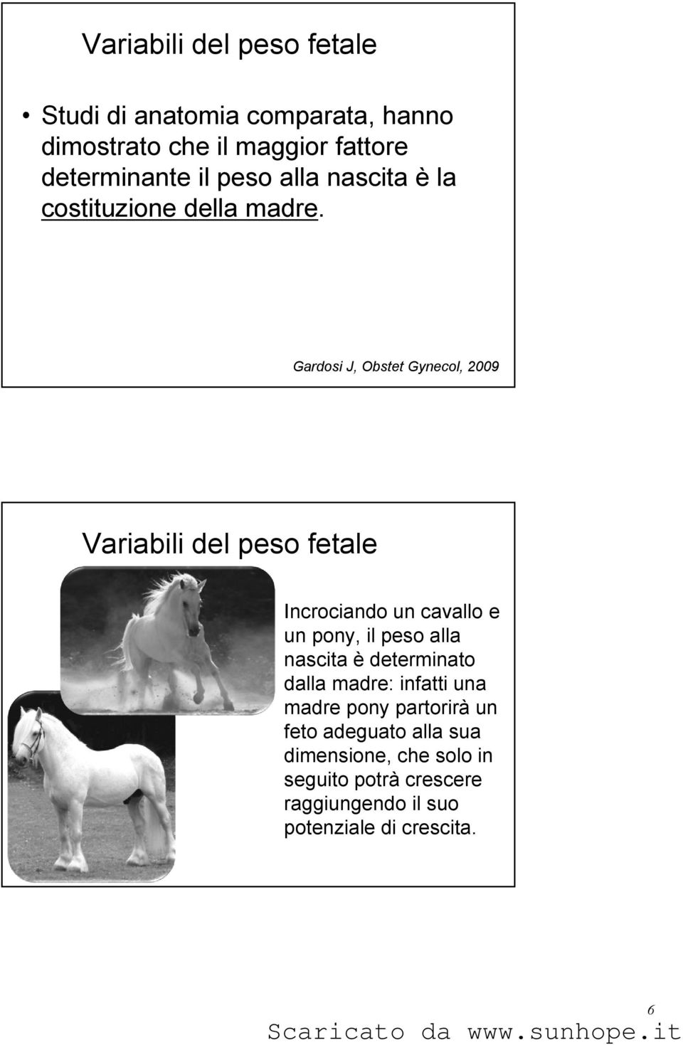 Gardosi J, Obstet Gynecol, 2009 Variabili del peso fetale Incrociando un cavallo e un pony, il peso alla nascita