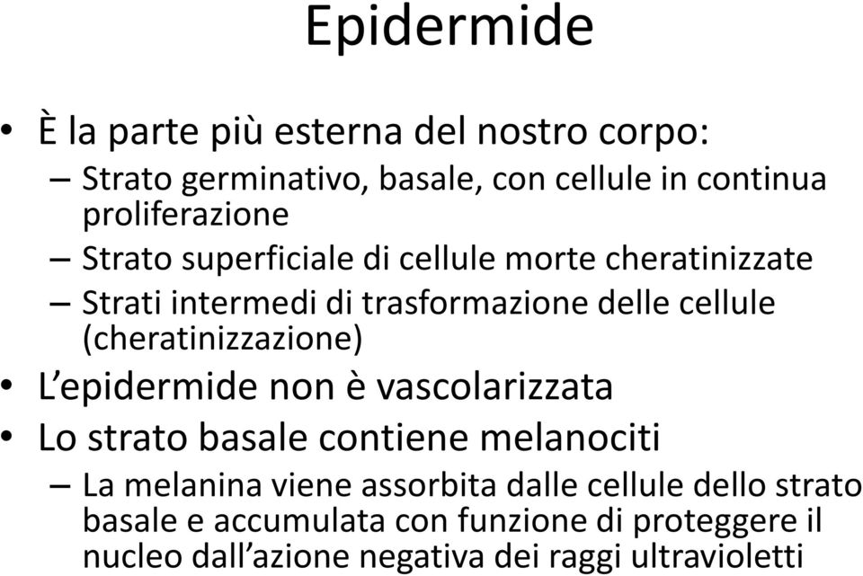 (cheratinizzazione) L epidermide non è vascolarizzata Lo strato basale contiene melanociti La melanina viene