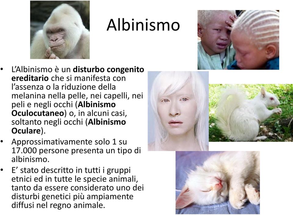 Oculare). Approssimativamente solo 1 su 17.000 persone presenta un tipo di albinismo.
