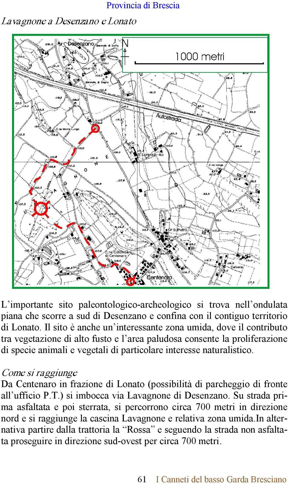 Il sito è anche un interessante zona umida, dove il contributo tra vegetazione di alto fusto e l area paludosa consente la proliferazione di specie animali e vegetali di particolare interesse