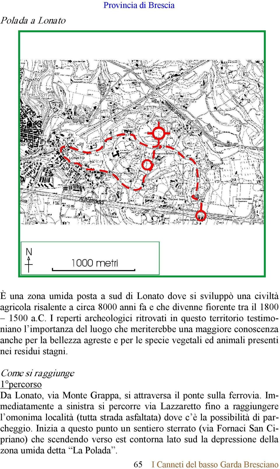 a È una zona umida posta a sud di Lonato dove si sviluppò una ci