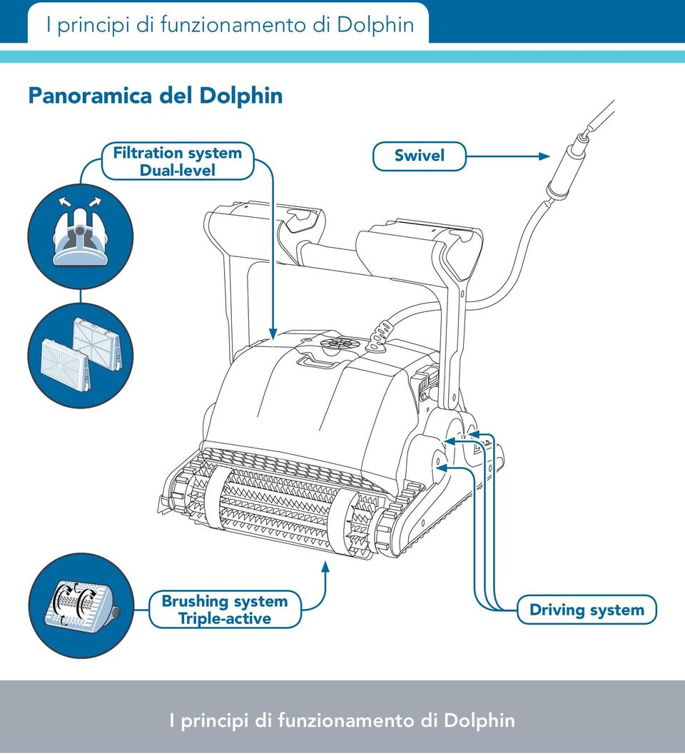 Dual-level Swivel Brushing system