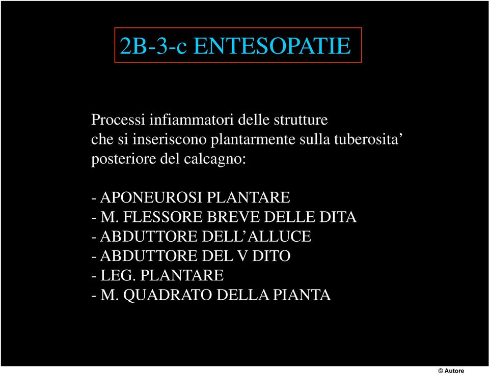 APONEUROSI PLANTARE - M.