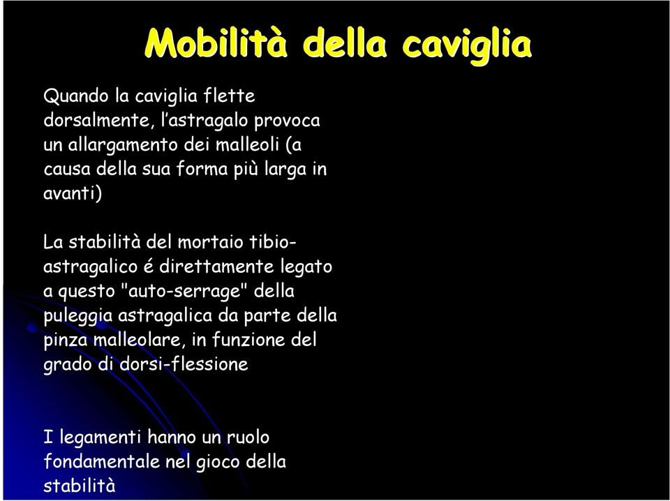 direttamente legato a questo "auto-serrage" della puleggia astragalica da parte della pinza