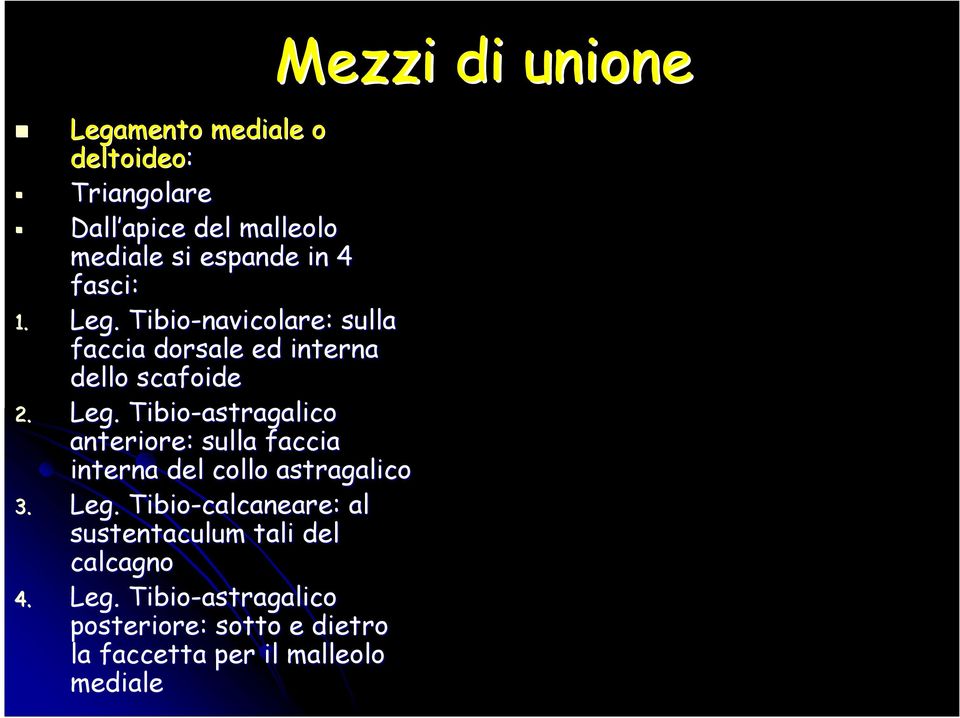 Tibio-astragalico anteriore: sulla faccia interna del collo astragalico 3. Leg.