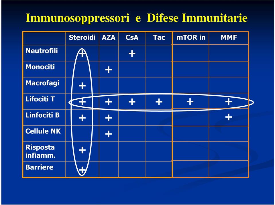 + Macrofagi + Lifociti T + + + + Linfociti B + +