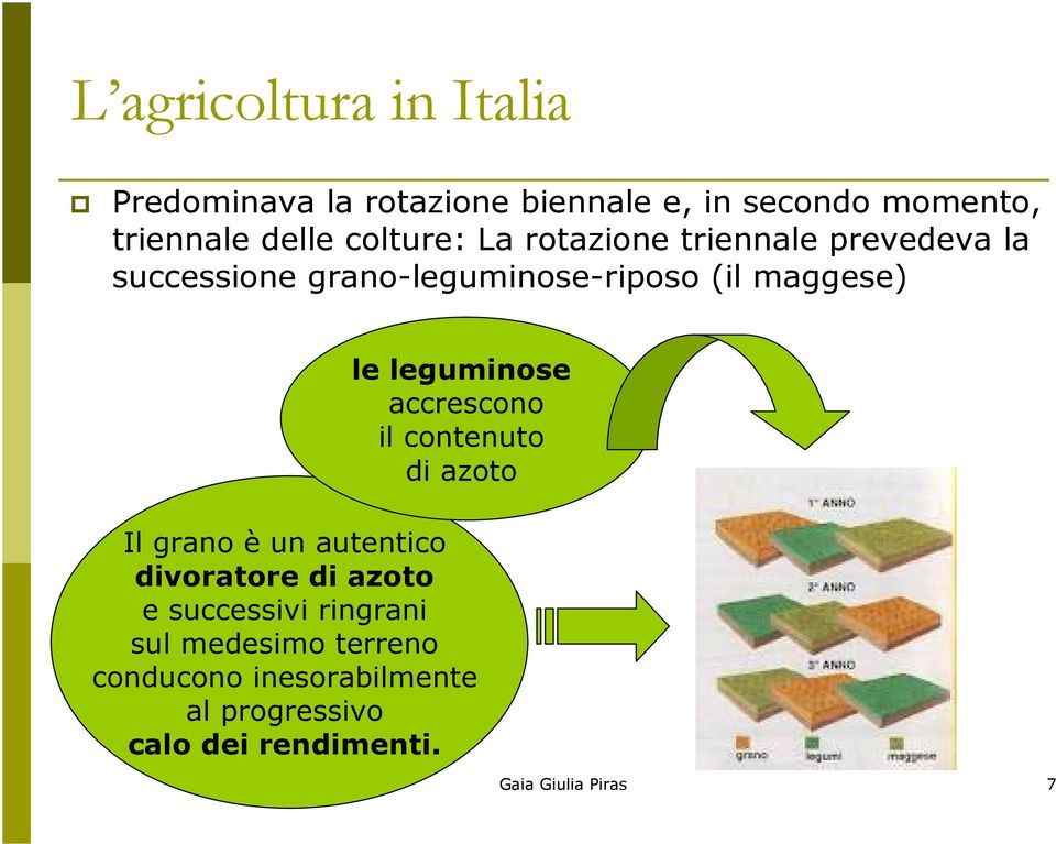 leguminose accrescono il contenuto di azoto Il grano è un autentico divoratore di azoto e successivi