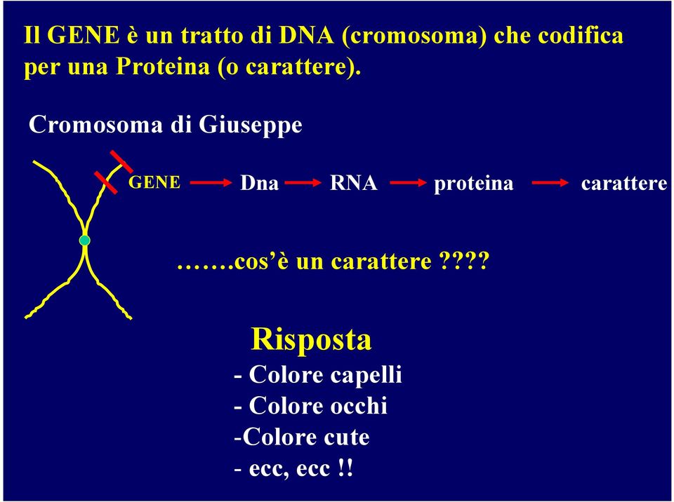 Cromosoma di Giuseppe GENE Dna RNA proteina carattere.