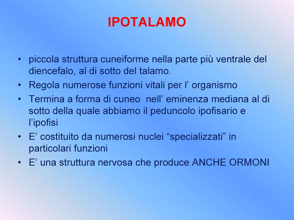 Regola numerose funzioni vitali per l organismo Termina a forma di cuneo nell eminenza mediana