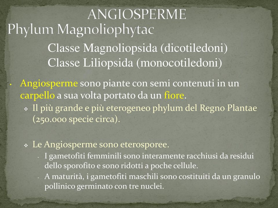 Le Angiosperme sono eterosporee.