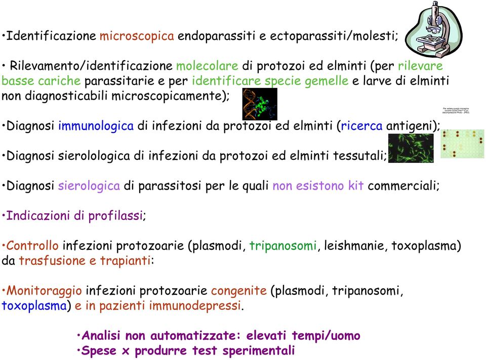 elminti tessutali; Diagnosi sierologica di parassitosi per le quali non esistono kit commerciali; Indicazioni di profilassi; Controllo infezioni protozoarie (plasmodi, tripanosomi, leishmanie,