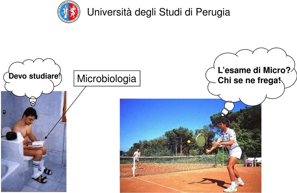 Microbiologia L esame di
