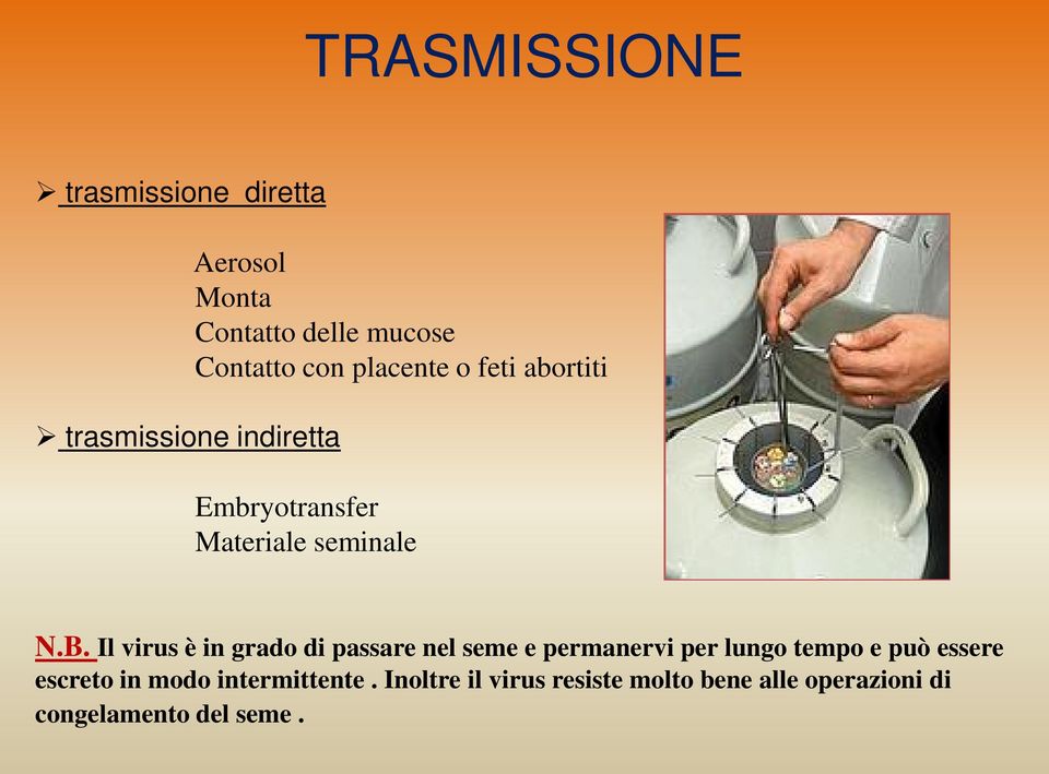 Il virus è in grado di passare nel seme e permanervi per lungo tempo e può essere escreto