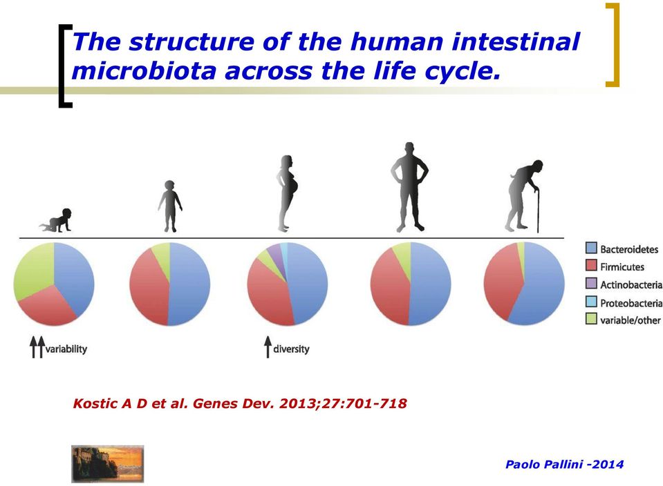 life cycle. Kostic A D et al.
