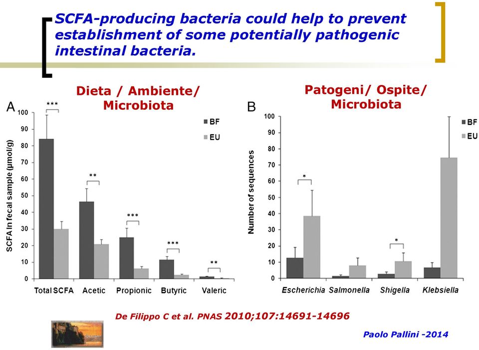 Dieta / Ambiente/ Microbiota Patogeni/ Ospite/ Microbiota De