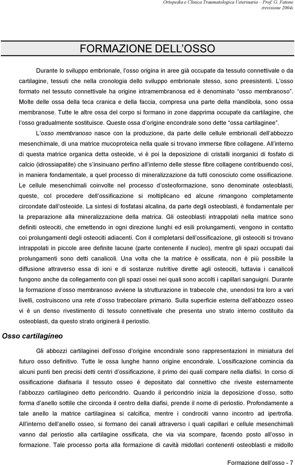 Molte delle ossa della teca cranica e della faccia, compresa una parte della mandibola, sono ossa membranose.