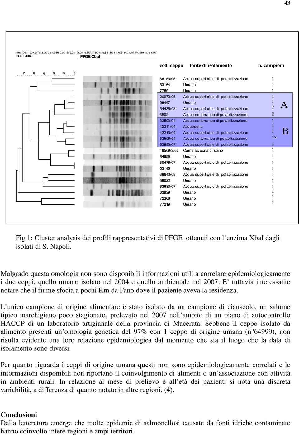 Carne lavorata di suino 2 2 3 A B Fig : Cluster analysis dei profili rappresentativi di PFGE ottenuti con l enzima XbaI dagli isolati di S. Napoli.